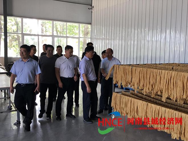 方城县券桥镇：农业强镇建设干在实处 走在前列 取得实效