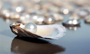 垃圾分类行业市场分析：垃圾分类智能化时代来临(图5)