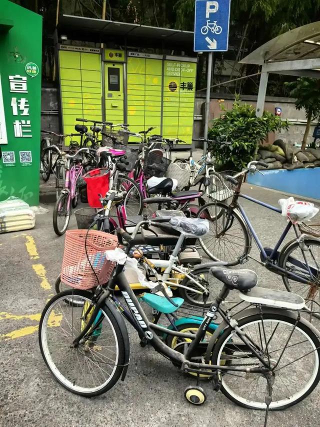 九游app入口:抓好“关键小事”普陀这里推动垃圾分类工作迈向精细化(图5)