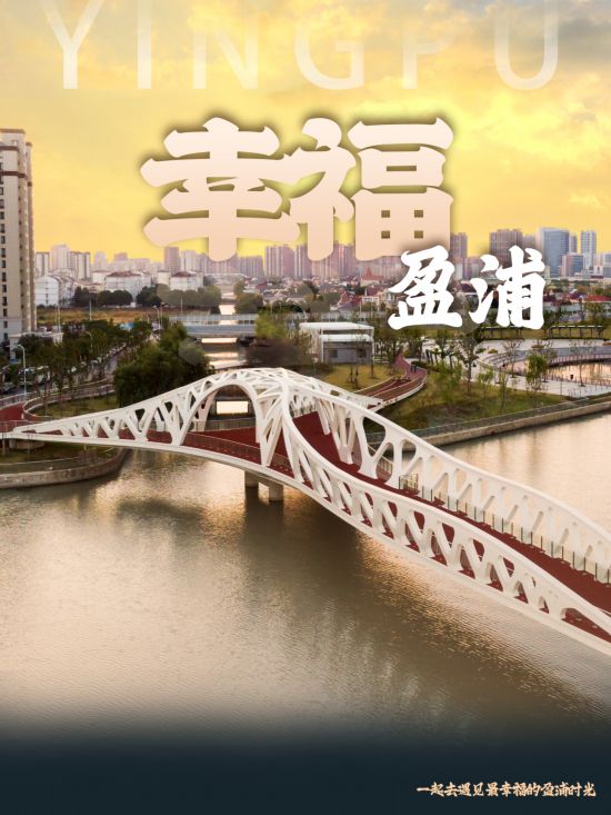 【盈浦街道】多维度打造“五个盈浦”推进“幸福温暖家”建设(图3)