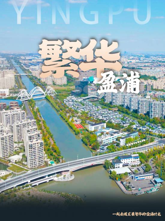【盈浦街道】多维度打造“五个盈浦”推进“幸福温暖家”建设