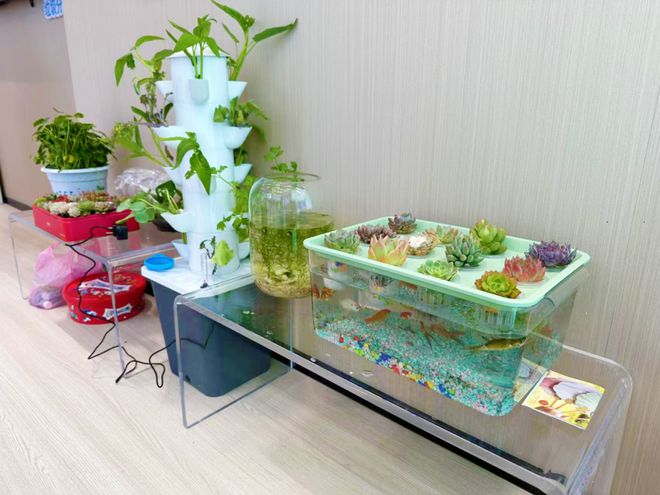 更智能、更便利、更时尚！志园公寓宝藏分类循环利用科普馆暨垃圾箱房全新亮相(图5)