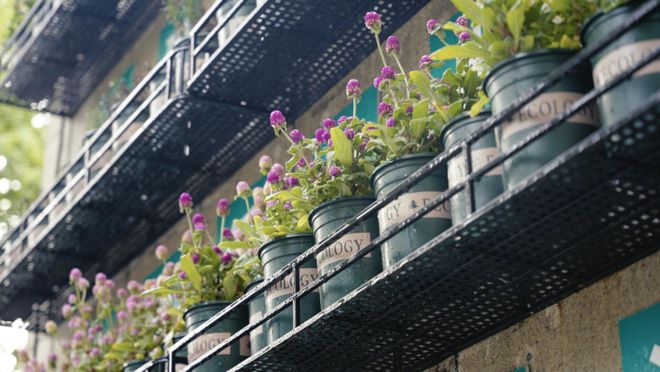 颜值+智能!“校社联动”打造低碳垃圾厢房