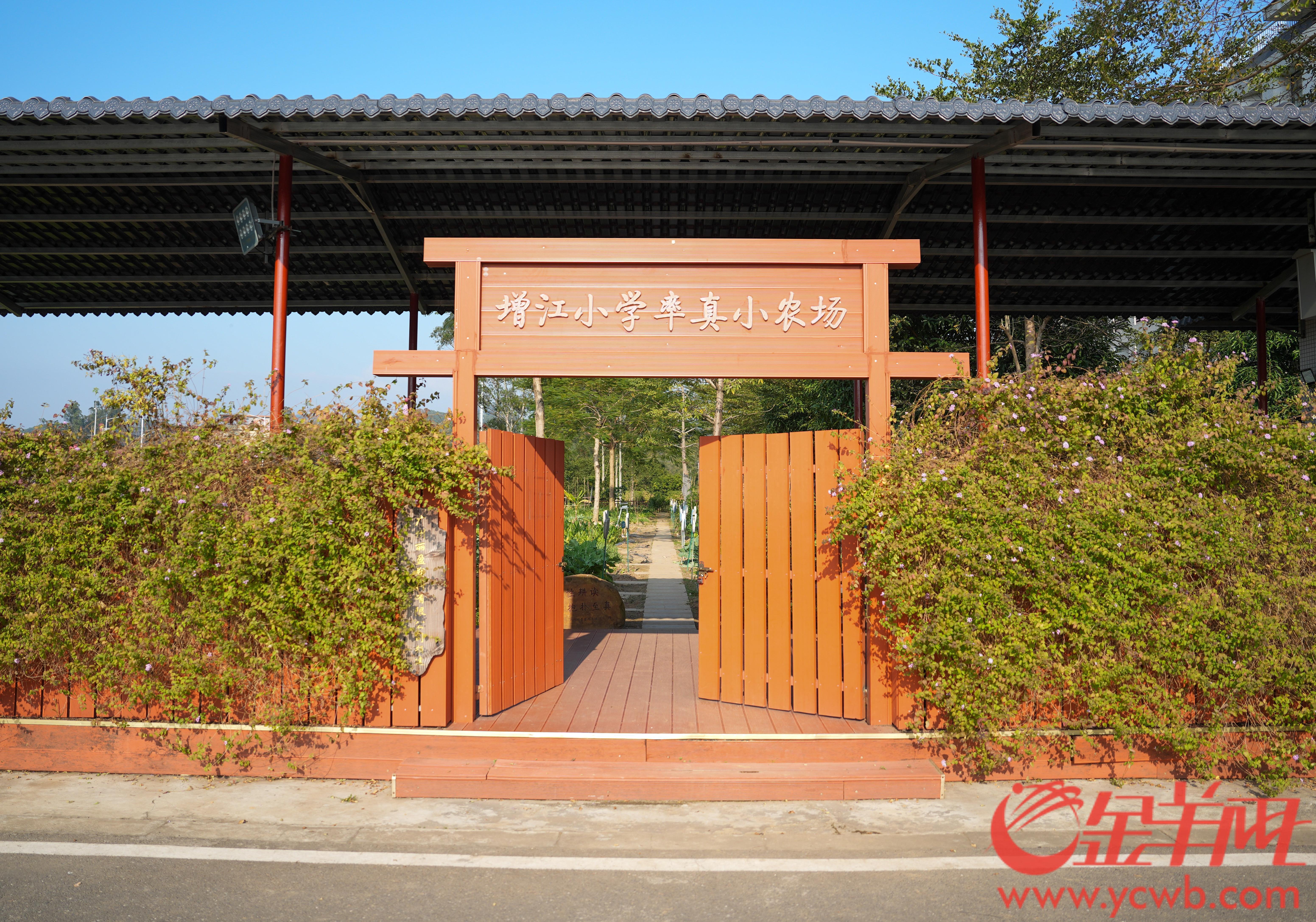 视频|广州增城:垃圾分类“新时尚”为增江街城乡融合带来“现代活力”(图5)