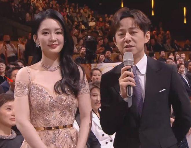 北京这一夜被“发胖”的李沁惊艳了面相都变了颜值惊鸿一瞥(图17)