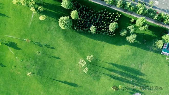 青春之城 永远年轻(图5)