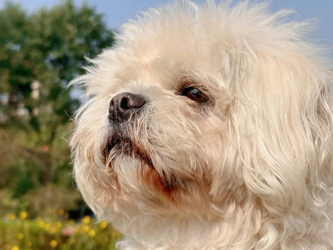 都2024了你还不知道垃圾怎么分类吗？(图7)