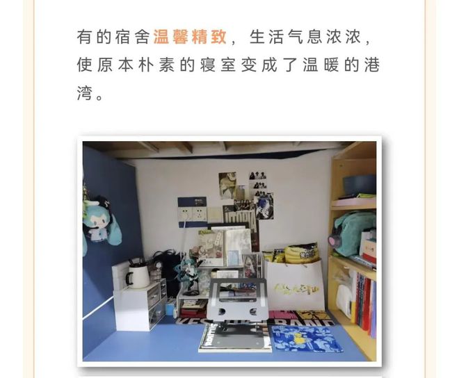 权心为你寝上加亲 学院成功举办2024年寝室文化节(图3)