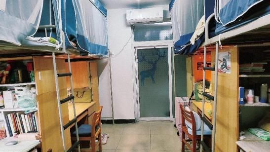 权心为你寝上加亲 学院成功举办2024年寝室文化节(图12)