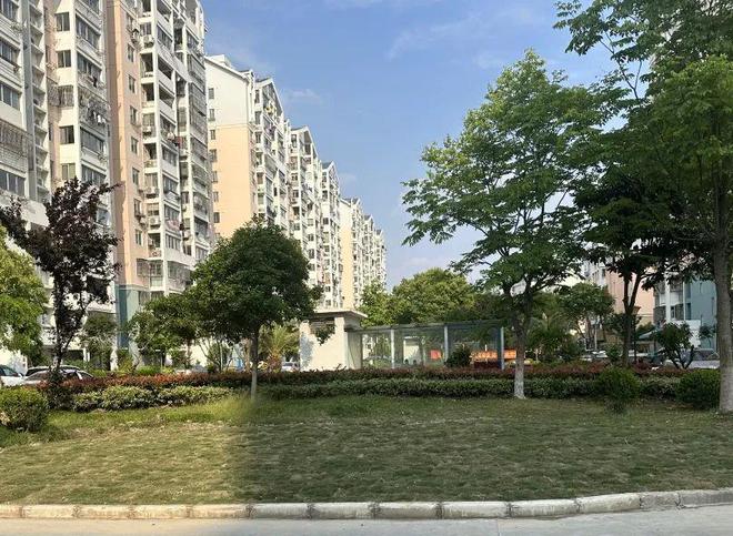 全程不落地装修垃圾清运竟能如此“丝滑”？(图4)