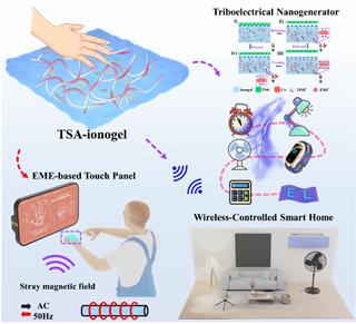 未来技术学院王新团队在柔性电子器件、人机界面、人工突触等领域取得系列研究进展
