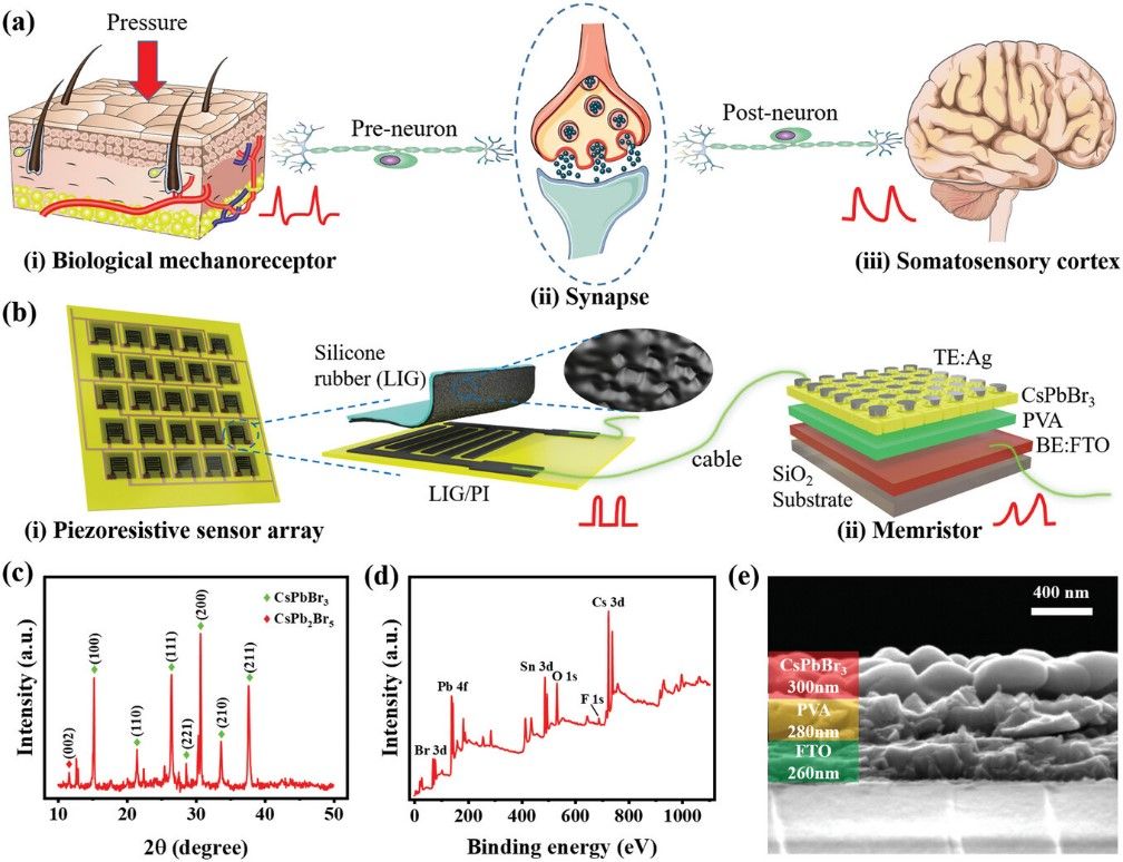 未来技术学院王新团队在柔性电子器件、人机界面、人工突触等领域取得系列研究进展(图4)