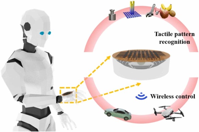 未来技术学院王新团队在柔性电子器件、人机界面、人工突触等领域取得系列研究进展(图6)