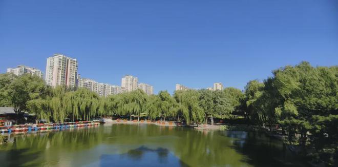 涉地标市场腾退！当我问Deepseek昌平的发展前景它给出一个惊人回答…(图4)