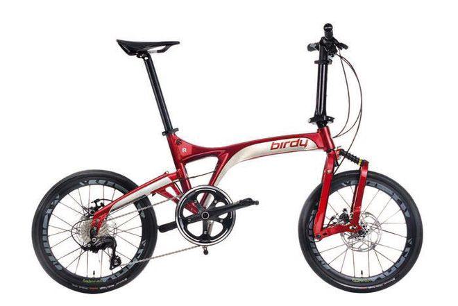 那些你没看过的鸟车(图10)