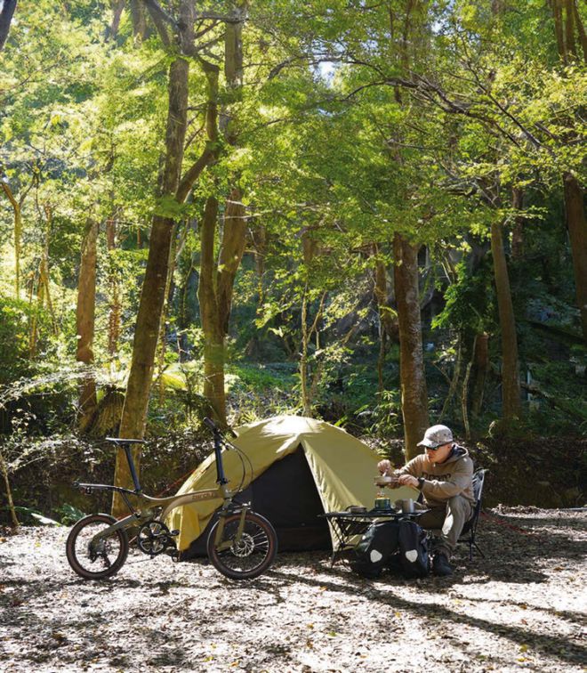 那些你没看过的鸟车(图15)