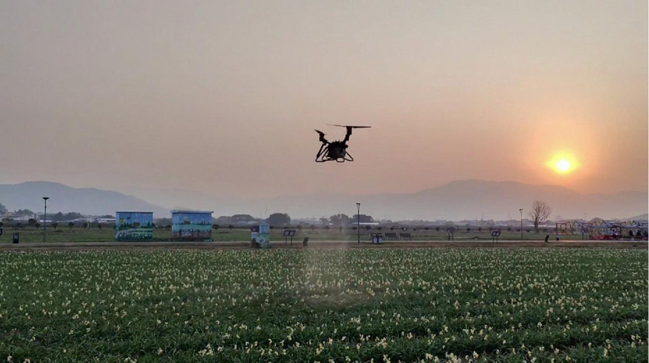 福建联通：数字赋能 擘画绿色发展新图景(图3)