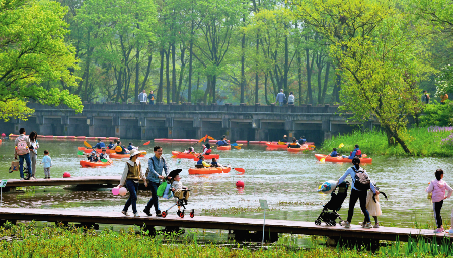 瞭望·治国理政纪事｜把西溪变得更美(图3)
