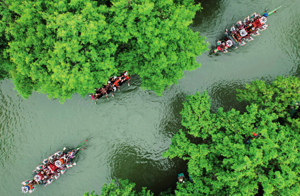 瞭望·治国理政纪事｜把西溪变得更美(图1)