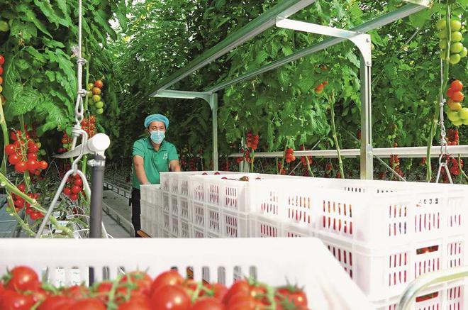 奋力打造首都乡村全面振兴大兴样板