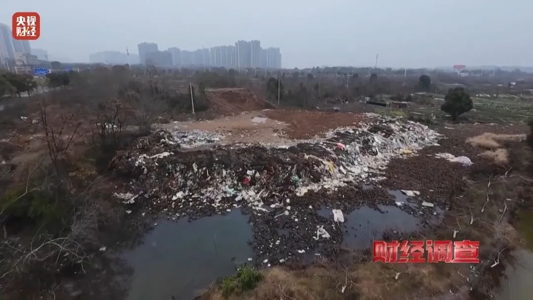 永久基本农田被垃圾掩埋现场触目惊心！(图4)