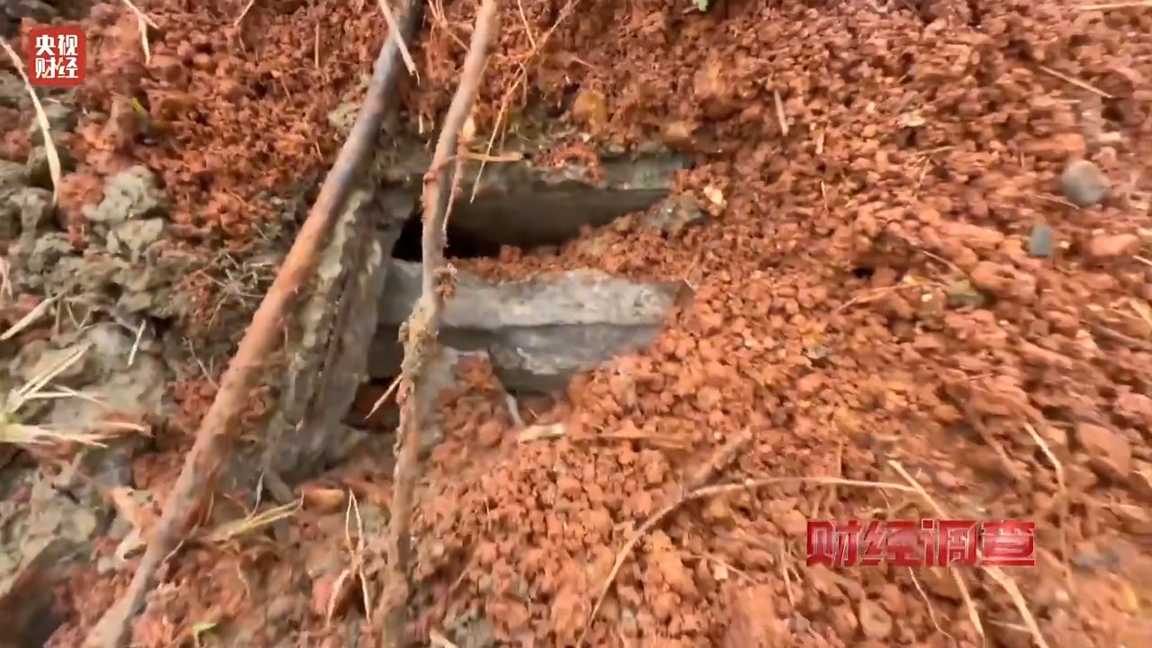 财经调查丨永久基本农田被垃圾掩埋！整改为何成“纸面工程”？(图5)