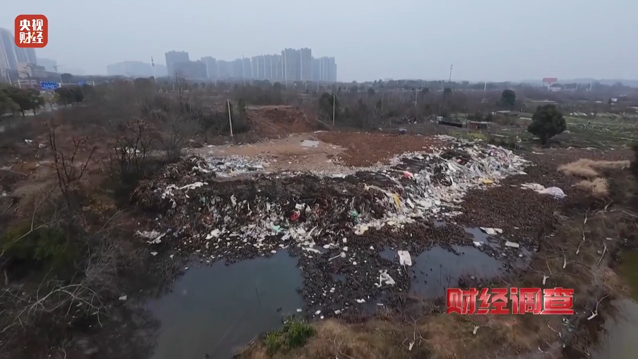 财经调查丨永久基本农田被垃圾掩埋！整改为何成“纸面工程”？(图11)