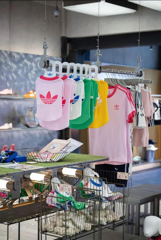宠物服饰成为 adidas 最近被抢购的爆品…(图2)