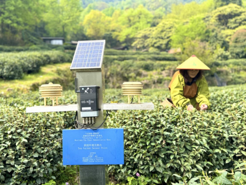 践“两山”理念助生态发力 浙江移动交出高质量发展“绿色答卷”(图3)
