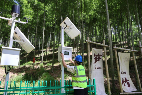 践“两山”理念助生态发力 浙江移动交出高质量发展“绿色答卷”(图6)