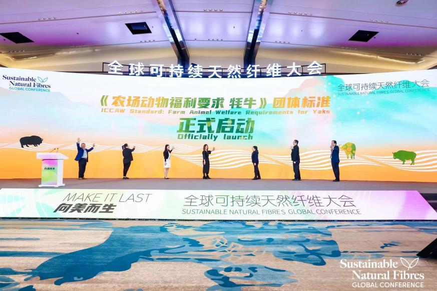 站在时代坑里的江南布衣为何活得还挺好？(图10)