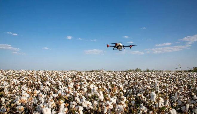 每3枚纱锭就有1枚在新疆转动！2910万锭产能的背后新疆和内地纺织企业要如何共进退？(图1)