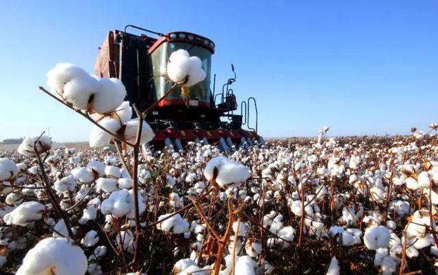 每3枚纱锭就有1枚在新疆转动！2910万锭产能的背后新疆和内地纺织企业要如何共进退？(图5)