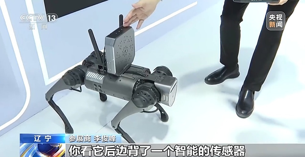 2024全球工业互联网大会开幕 多款机器人携“智慧大脑”亮相(图7)