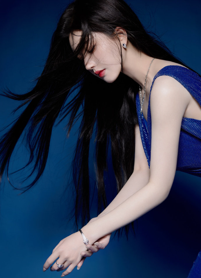 蘑菇tv官网登录入口网页版下载