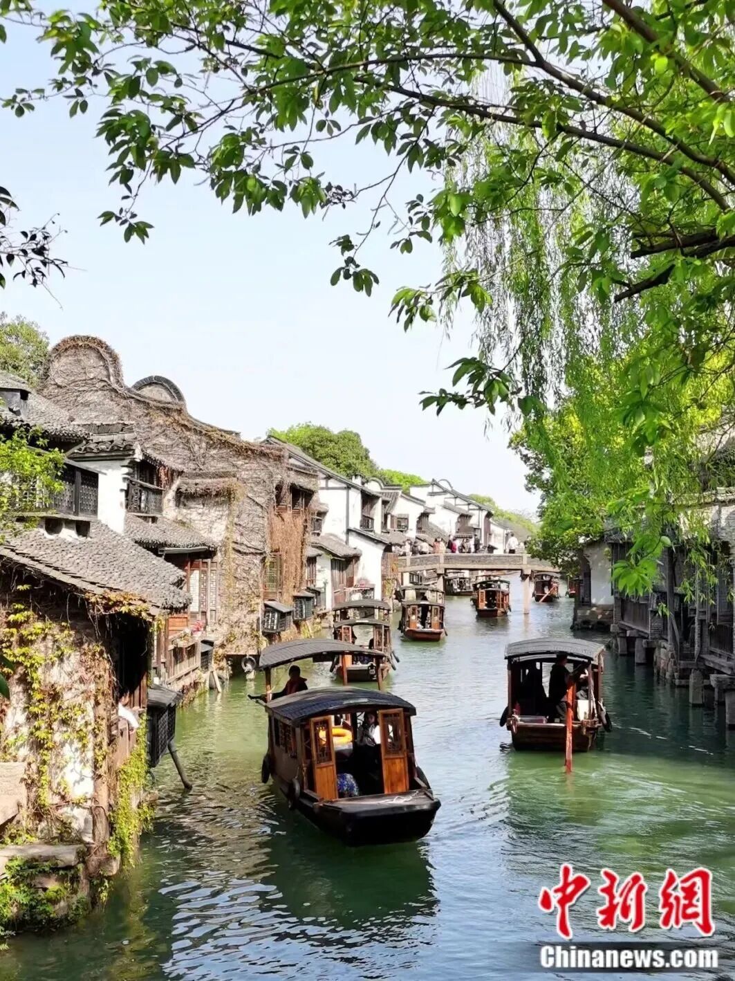 从乌镇出发这场“数字之约”改写全球网络生态(图5)