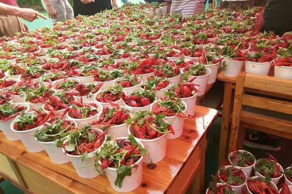 美女和男生一起努力坤坤真是太励志了希望他们能取得更好的成绩(图2)