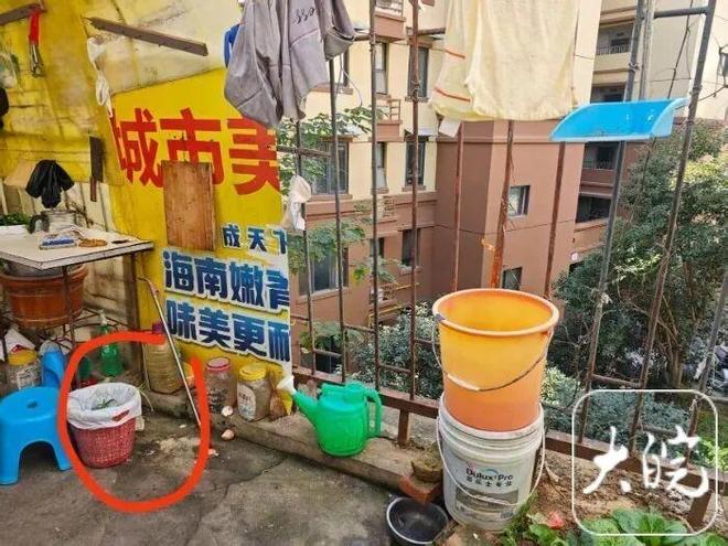 垃圾桶总在半夜被翻得乱七八糟！合肥这小区现“神秘小动物”！竟是外来入侵物种…(图2)