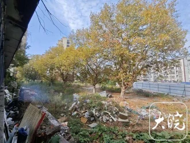 垃圾桶总在半夜被翻得乱七八糟！合肥这小区现“神秘小动物”！竟是外来入侵物种…(图6)