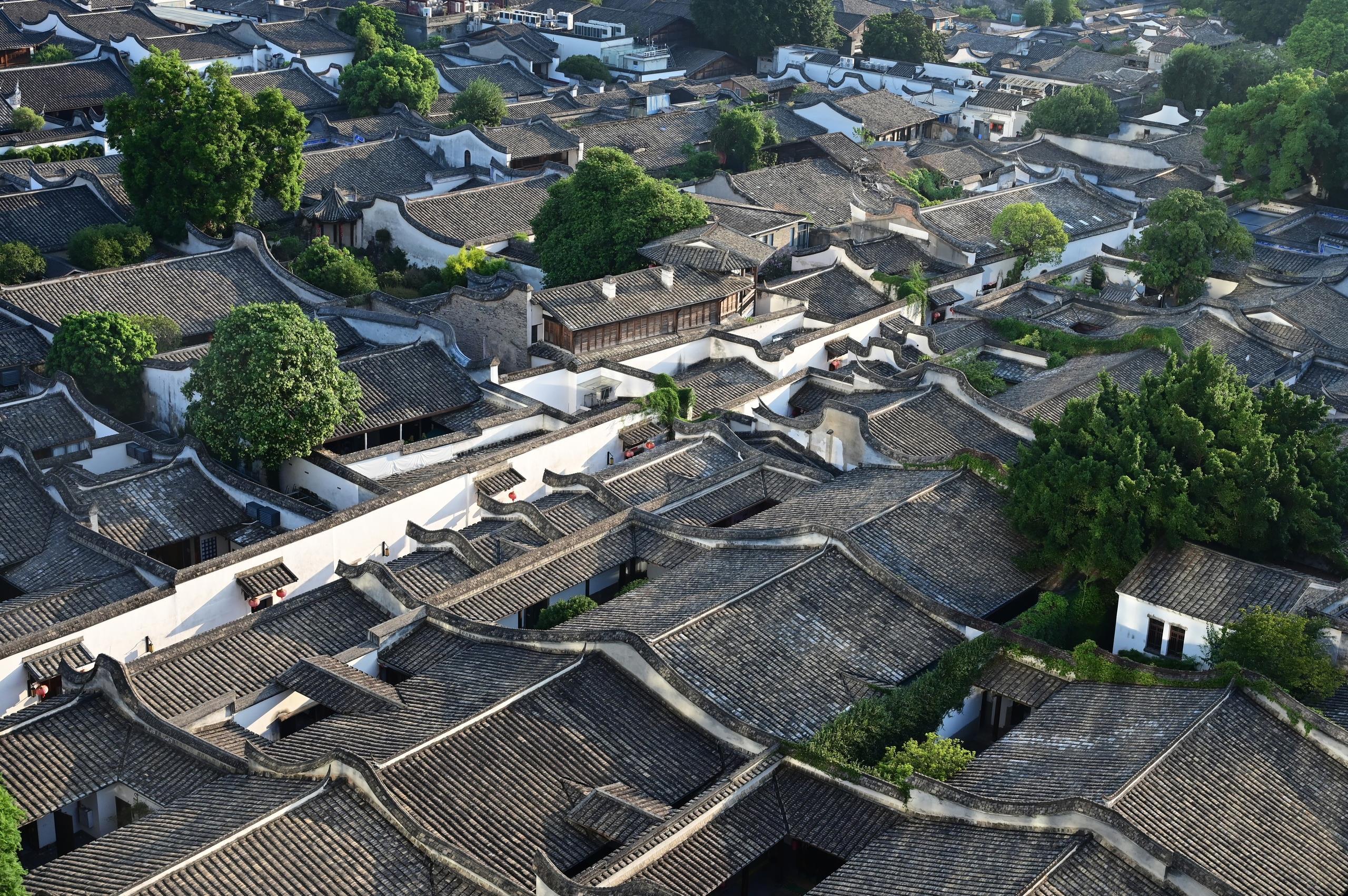 时政微观察丨建设人民城市致广大而尽精微(图3)