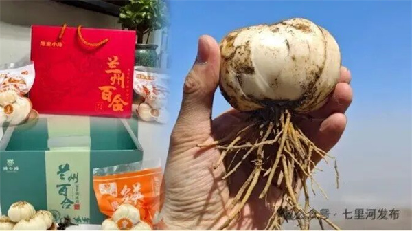 七里河区丨黄河为脉 县域为基 绘就黄河岸边宜居宜业新图景(图3)