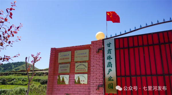 七里河区丨黄河为脉 县域为基 绘就黄河岸边宜居宜业新图景(图6)