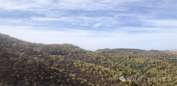 七里河区丨黄河为脉 县域为基 绘就黄河岸边宜居宜业新图景(图10)