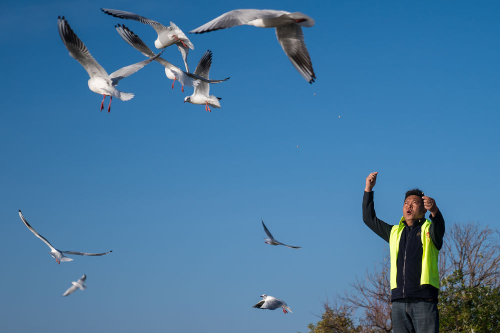镜观·回响|弘扬奉献、友爱、互助、进步的志愿精神(图4)