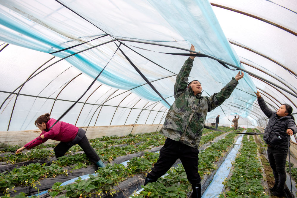 镜观·回响|弘扬奉献、友爱、互助、进步的志愿精神(图13)