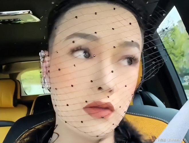 人民日报怒批炫富偷税749万跑国外现又割内地韭菜(图2)