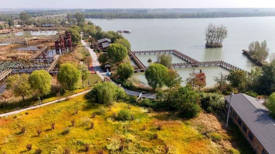 “片区引擎”驱动塑造平原乡村振兴新格局——聊城以“片区化推进、组团式发展”破题平原乡村振兴纪实（上）