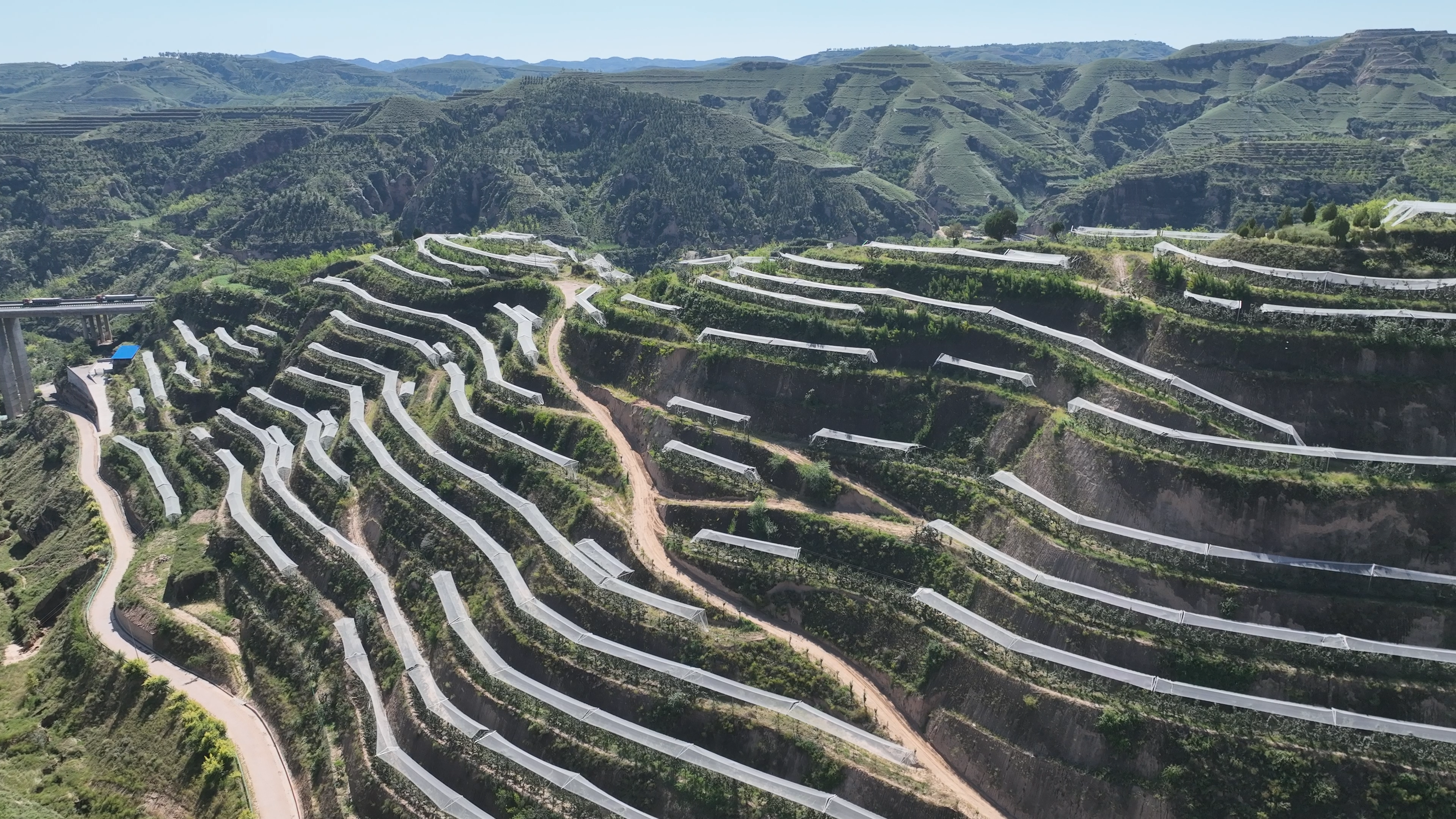 真心真情真帮扶 携手绘就新蓝图——“十四五”扬榆协作答卷·吴堡篇