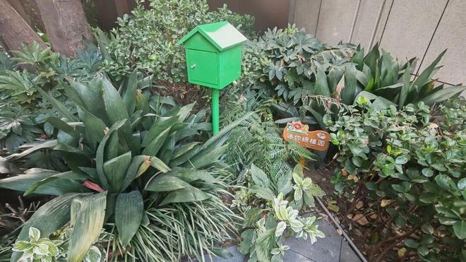 快看！静安这个小区垃圾箱房变身热门“新空间”(图6)