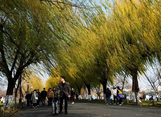 每日一词|零废物城市 zero-waste cities